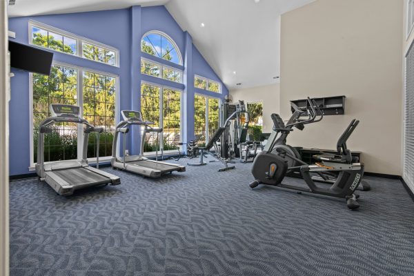 Bright gym interior with treadmills, elliptical, and weight machines, large windows, and blue walls.