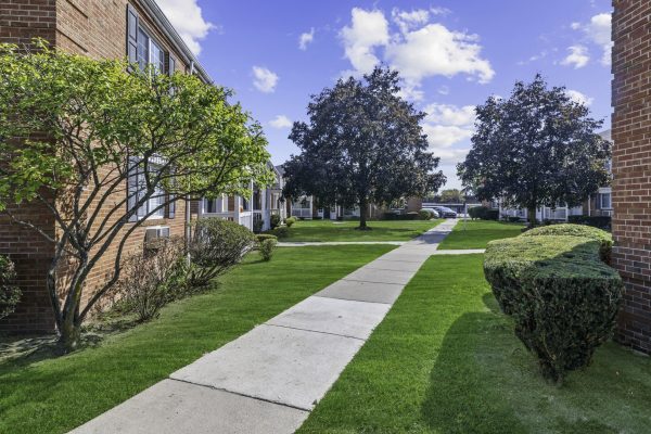 Well-maintained green lawn and trees between brick apartment buildings on a sunny day.
