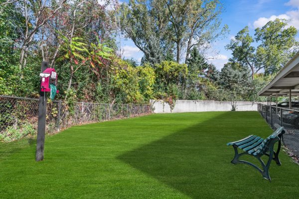 Sunny backyard with green lawn, bench, and pet waste station, surrounded by trees and fence, perfect for relaxation.