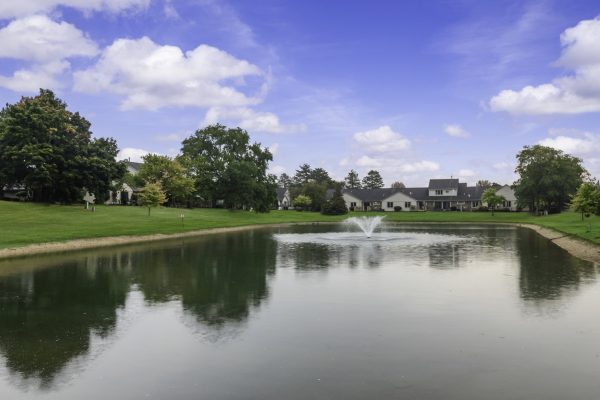 Scenic pond with a water fountain surrounded by greenery and suburban homes under a bright blue sky.