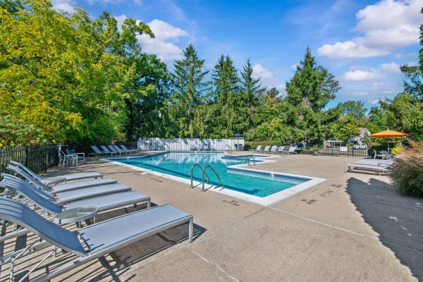 Outdoor swimming pool with lounge chairs and trees on a sunny day, perfect for relaxation and leisure activities.