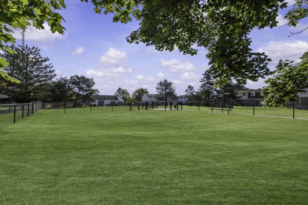 Spacious dog park with green grass, trees, benches, and a fence under a clear blue sky. Ideal for outdoor activities.