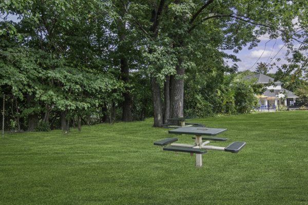 Green park view with trees, picnic tables, and lawn. Ideal outdoor relaxation spot with blue sky and surrounding greenery.