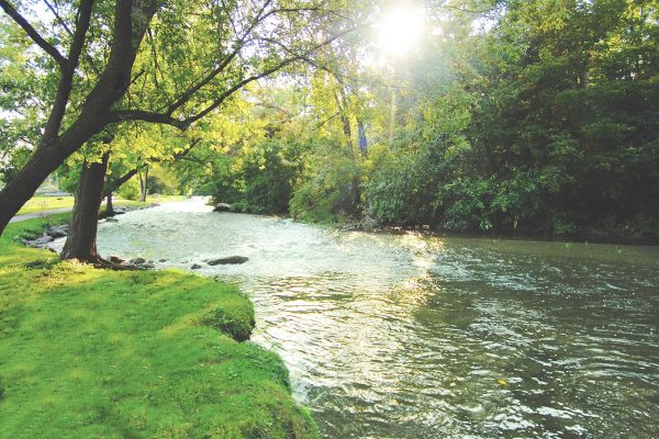 Scenic view of a sunlit river flowing through a lush green forest, with sunlight streaming through the trees.